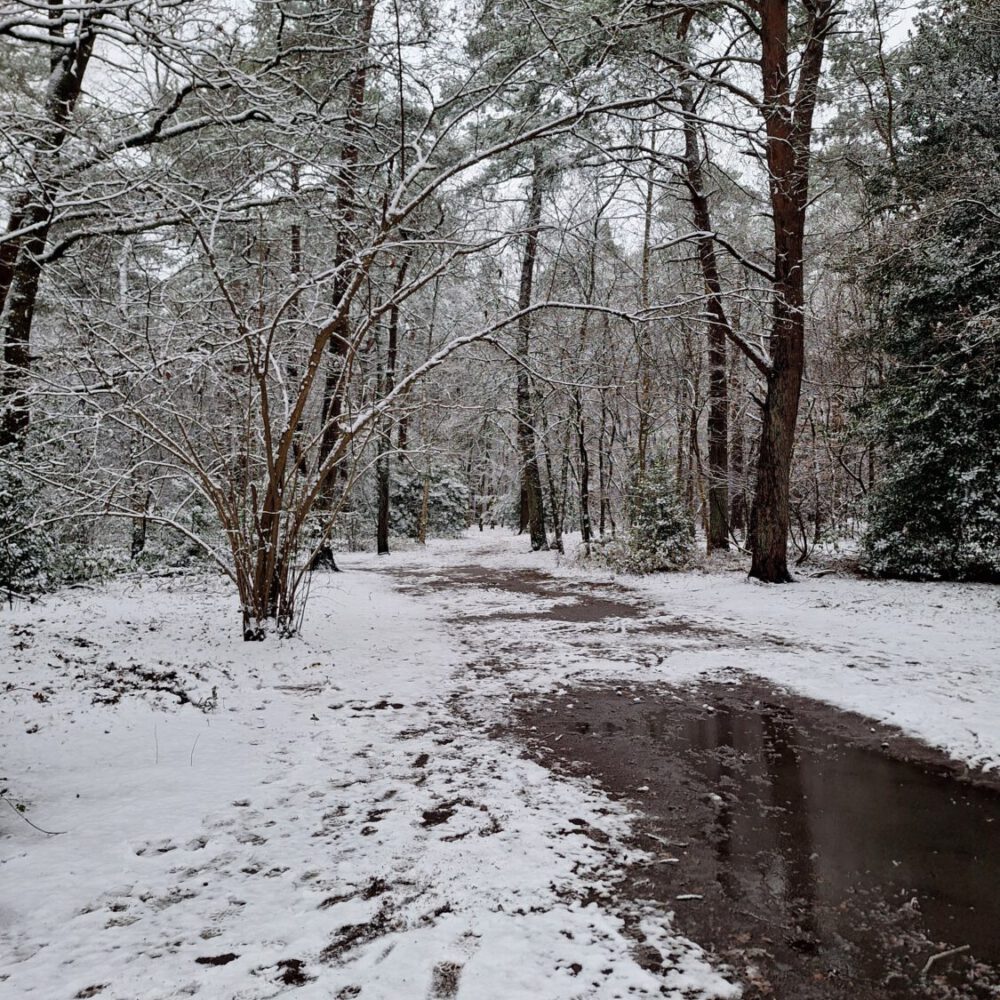 Foto workshop winter